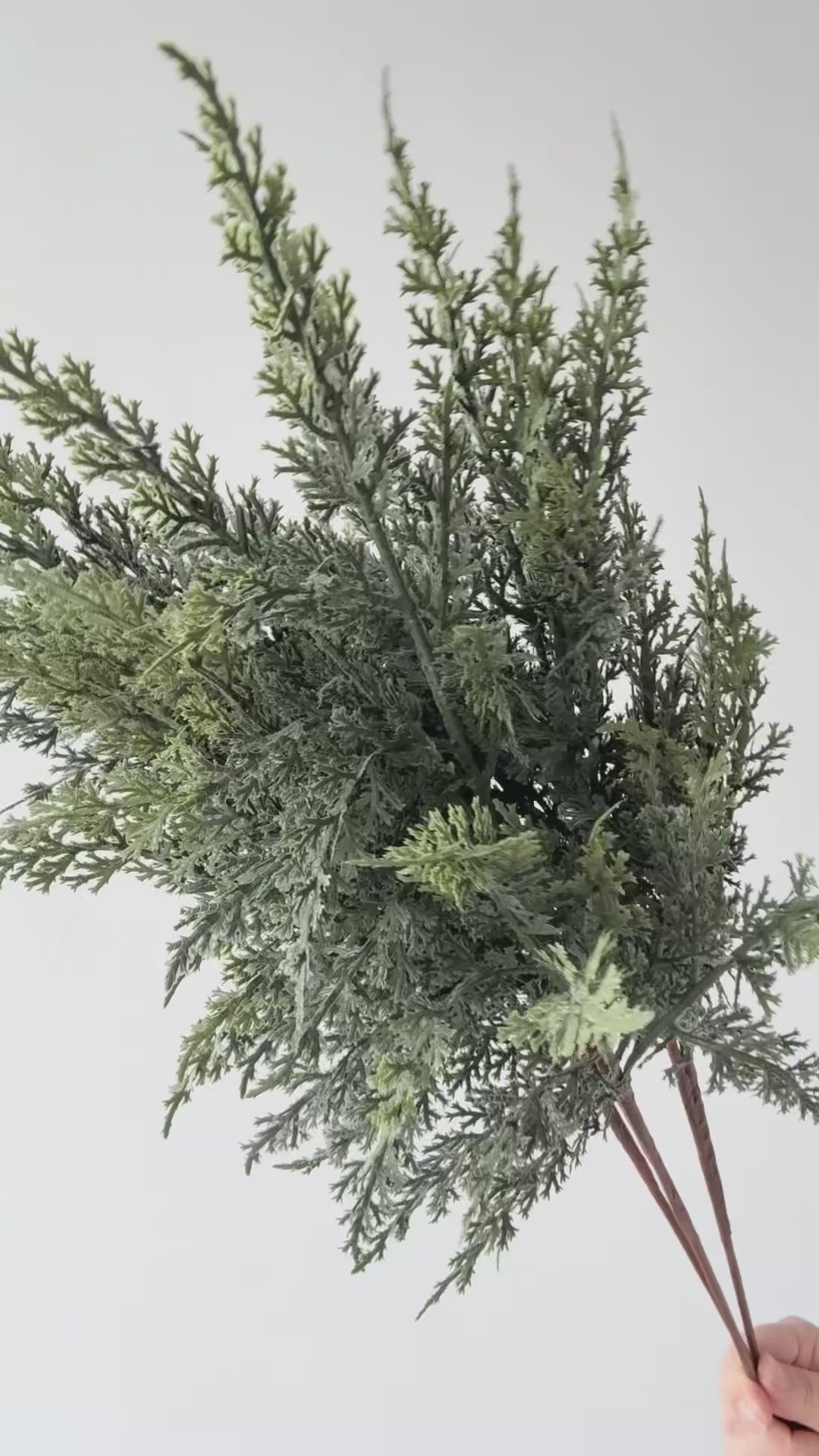 Real-Touch Gradient Cypress Faux Branch