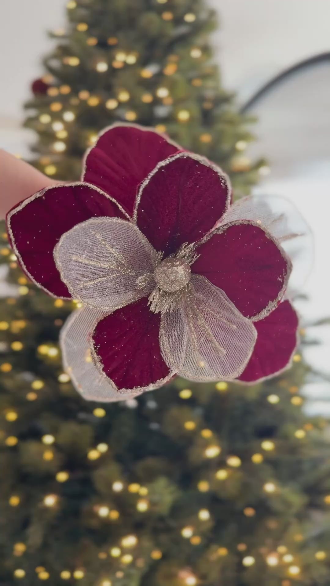 PRE-ORDER (19-23 Oct): Wine & Champagne Magnolia Christmas Flower (2 options)