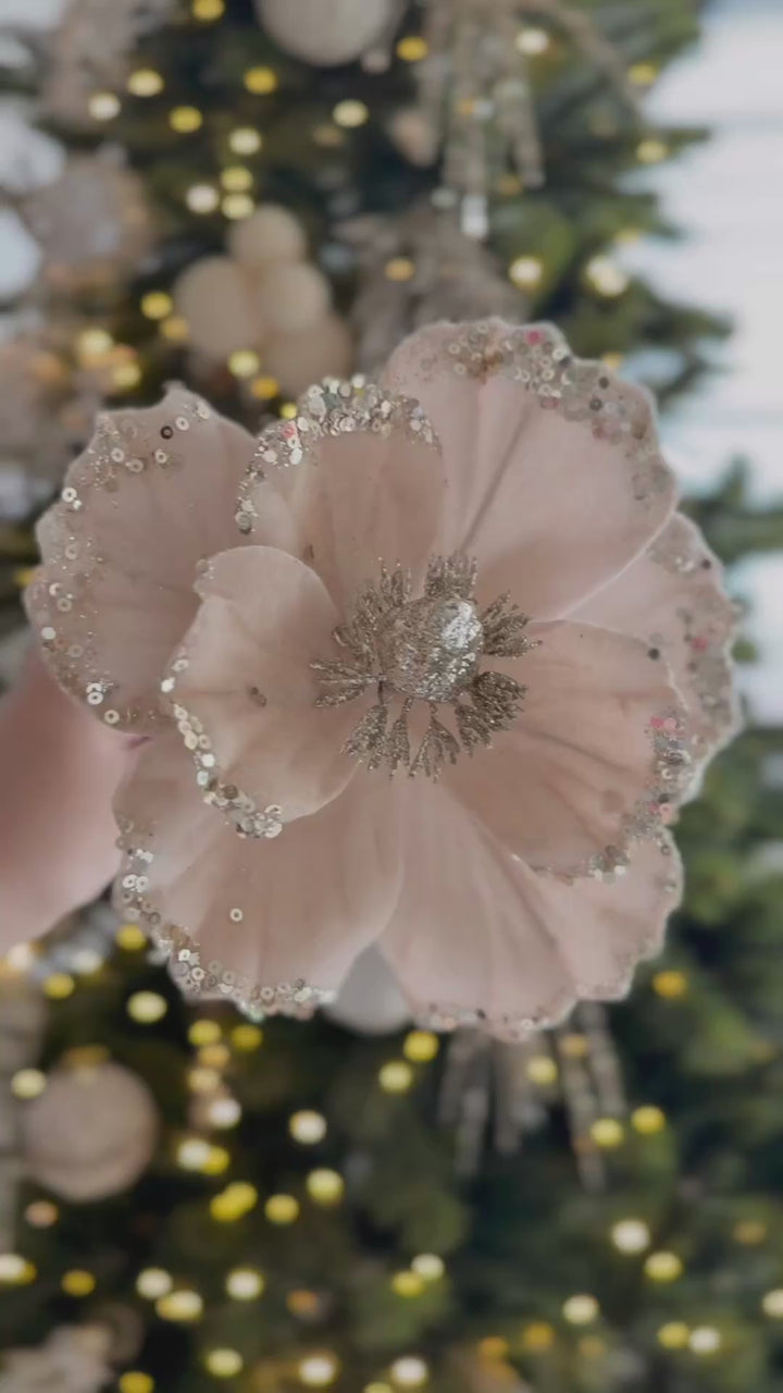 Champagne Blush Velvet Poinsettia