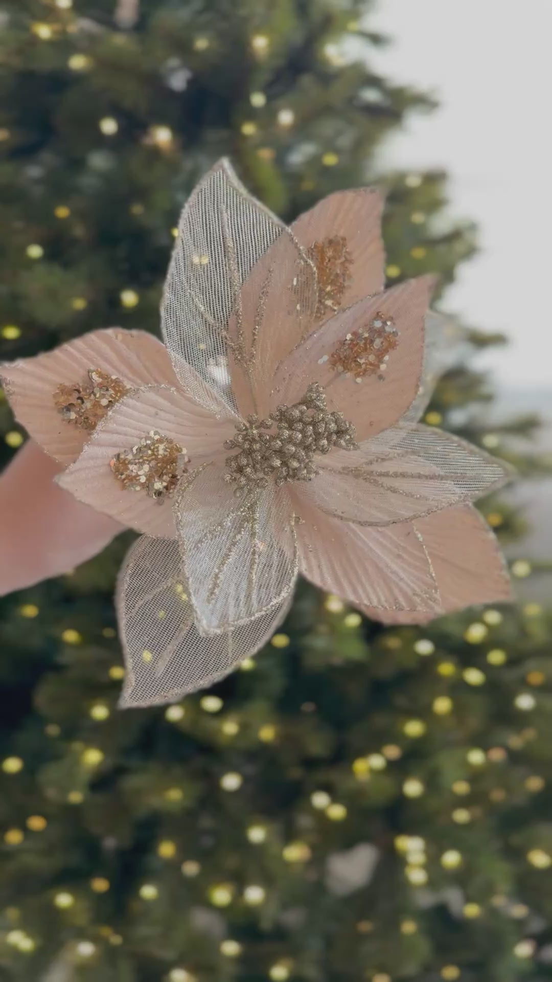 Celeste Bloom Poinsettia (2 colour options)