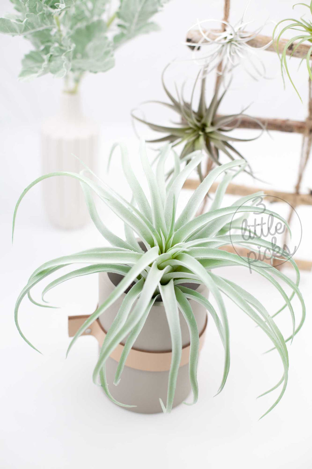 Faux Air Plants, Decor, 3littlepicks - 3LittlePicks