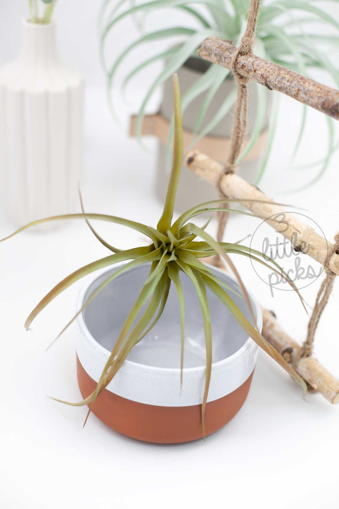 Faux Air Plants, Decor, 3littlepicks - 3LittlePicks