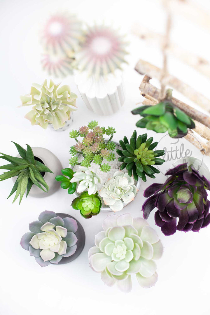 COMING BACK: Faux Succulent (Part 1), Decor, 3littlepicks - 3LittlePicks