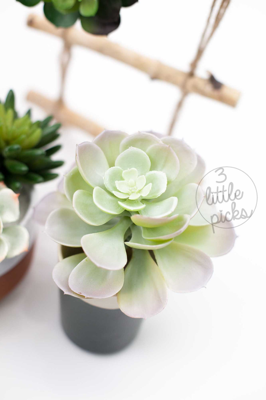 Faux Succulent (Part 2), Decor, 3littlepicks - 3LittlePicks