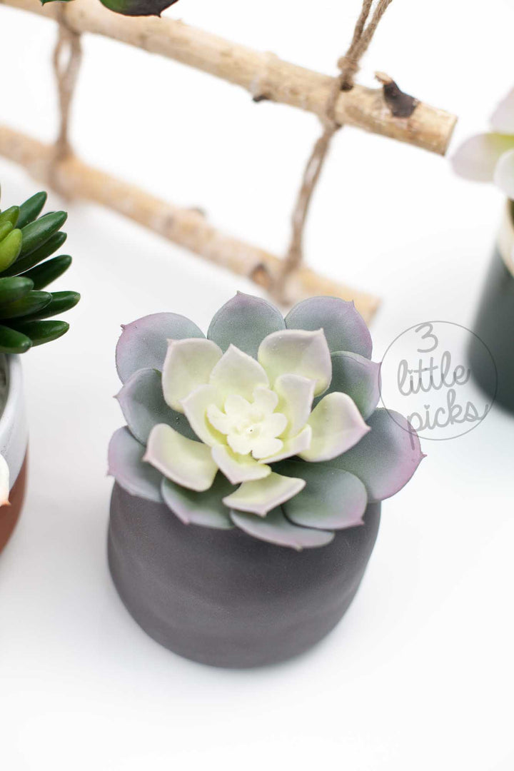 COMING BACK: Faux Succulent (Part 1), Decor, 3littlepicks - 3LittlePicks