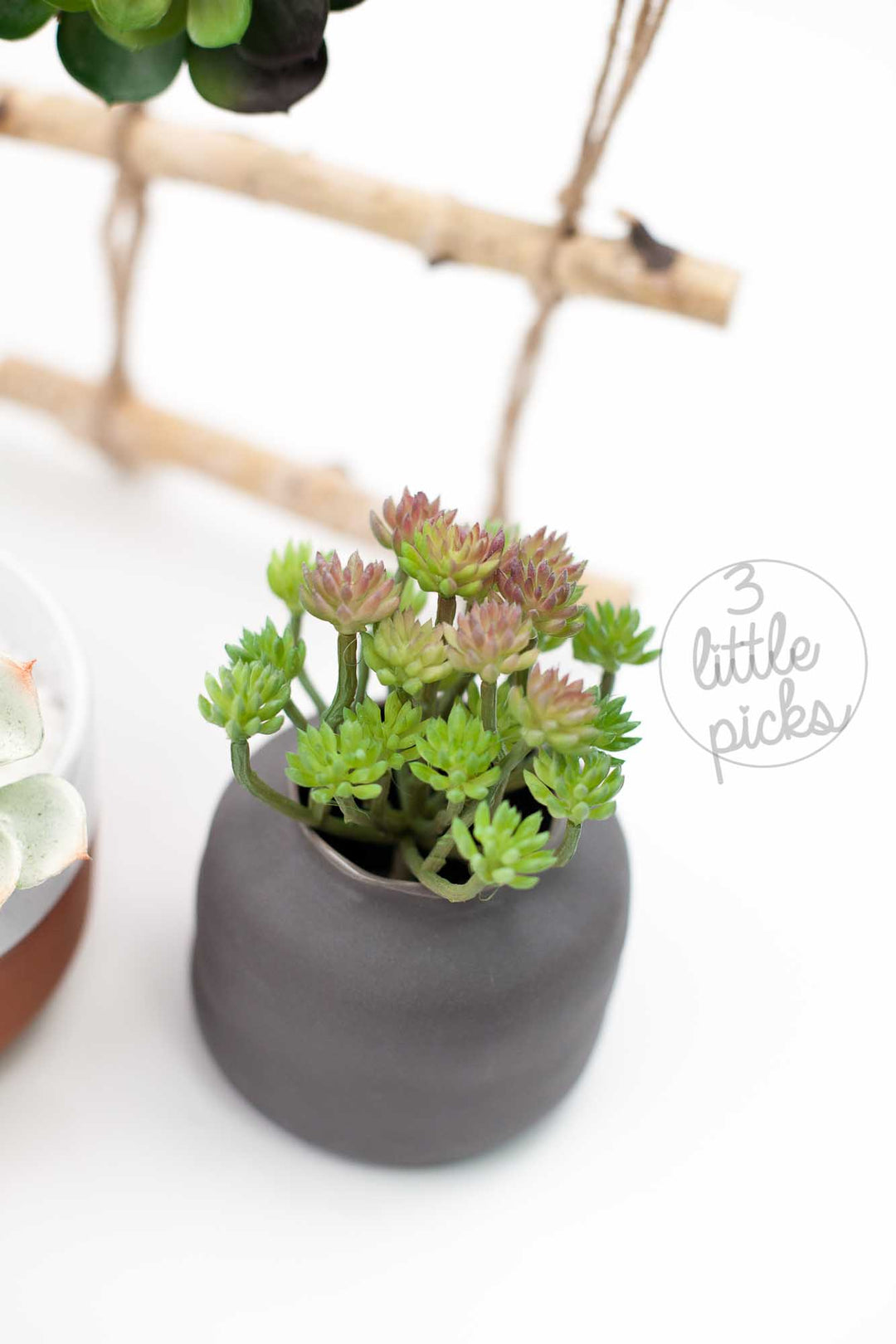 COMING BACK: Faux Succulent (Part 1), Decor, 3littlepicks - 3LittlePicks