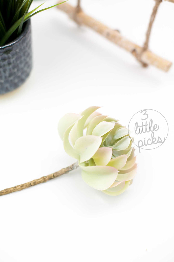 Faux Succulent (Part 2), Decor, 3littlepicks - 3LittlePicks