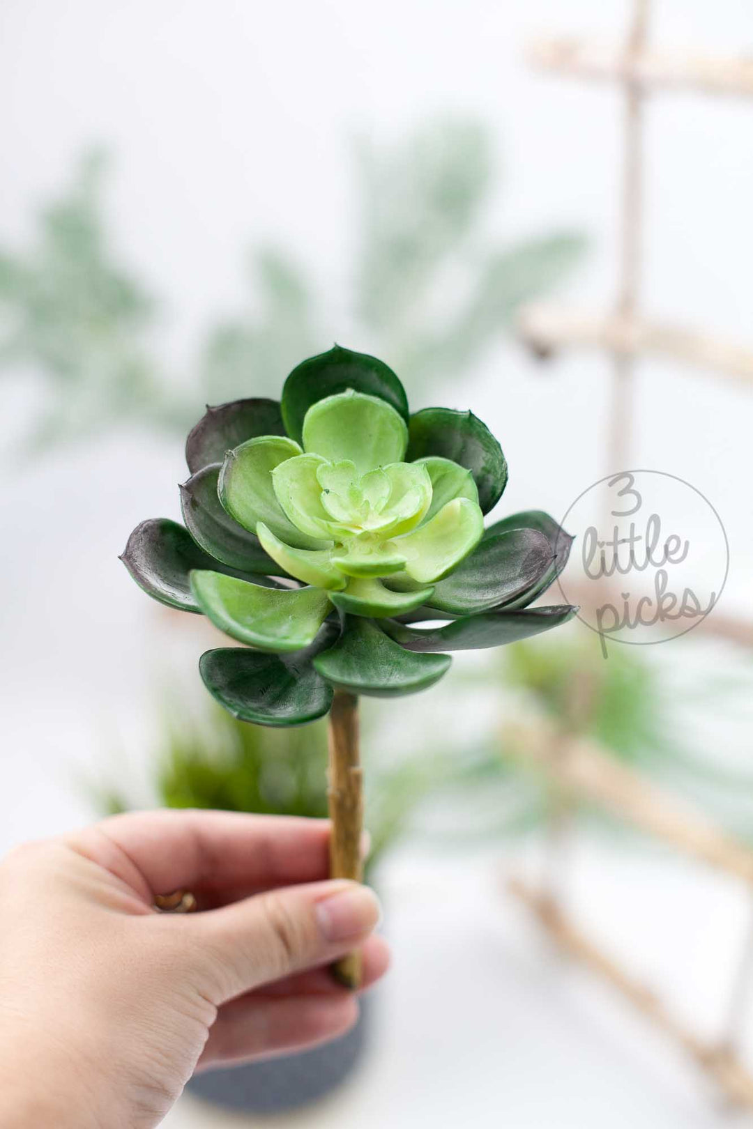 Faux Succulent (Part 2), Decor, 3littlepicks - 3LittlePicks