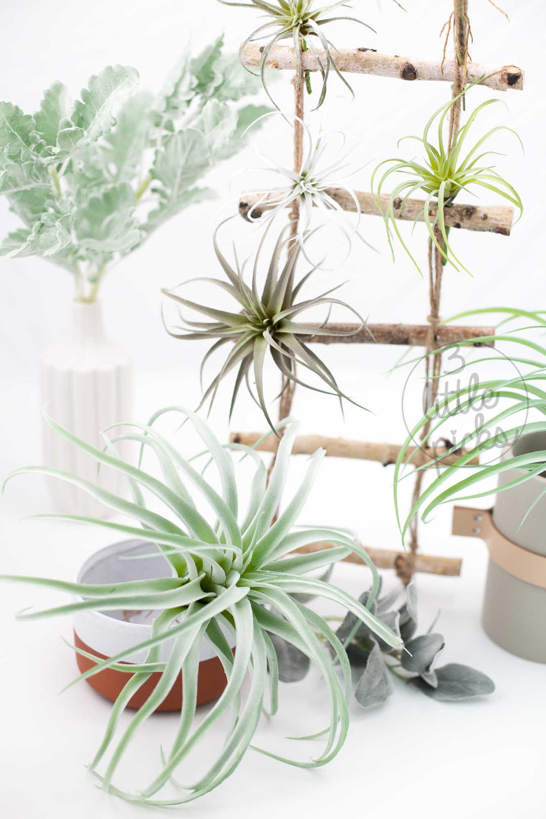 faux air plant Faux Air Plants