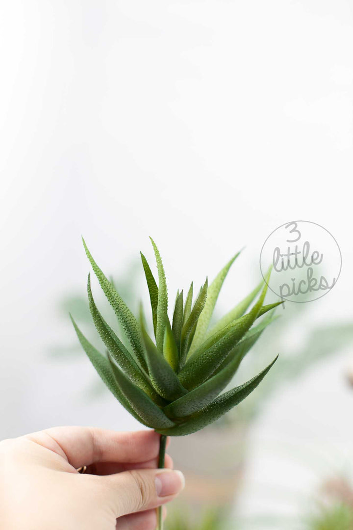 COMING BACK: Faux Succulent (Part 1), Decor, 3littlepicks - 3LittlePicks