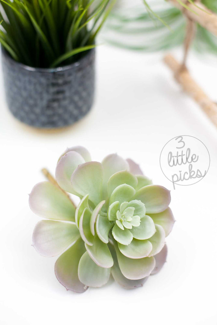 Faux Succulent (Part 2), Decor, 3littlepicks - 3LittlePicks