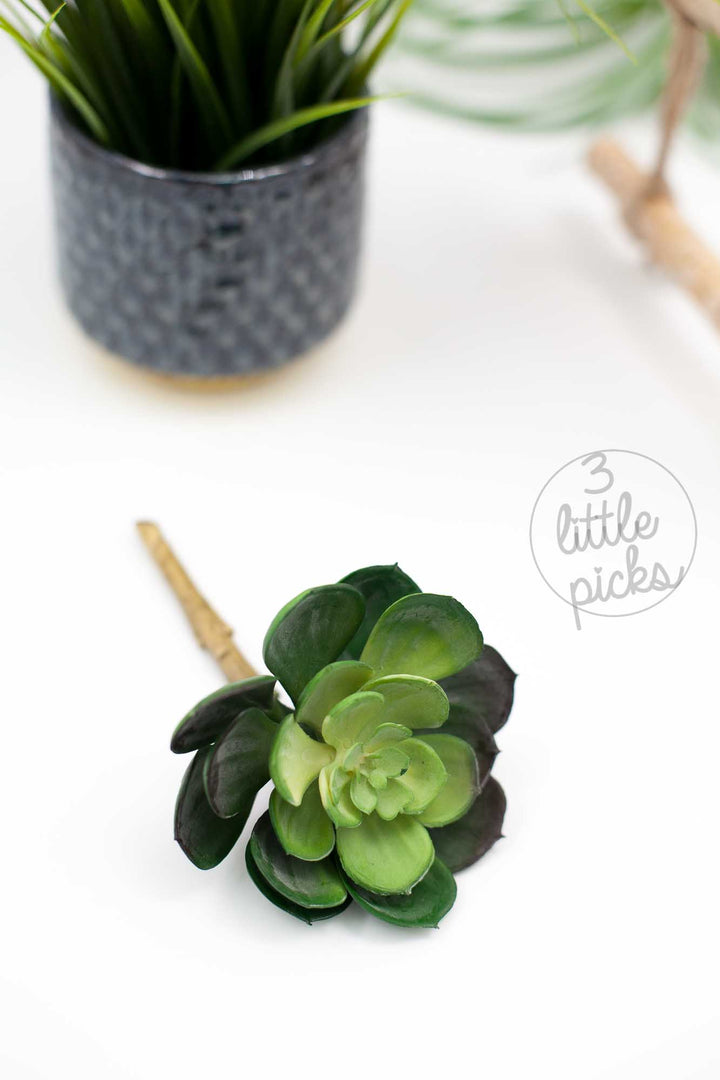 Faux Succulent (Part 2), Decor, 3littlepicks - 3LittlePicks