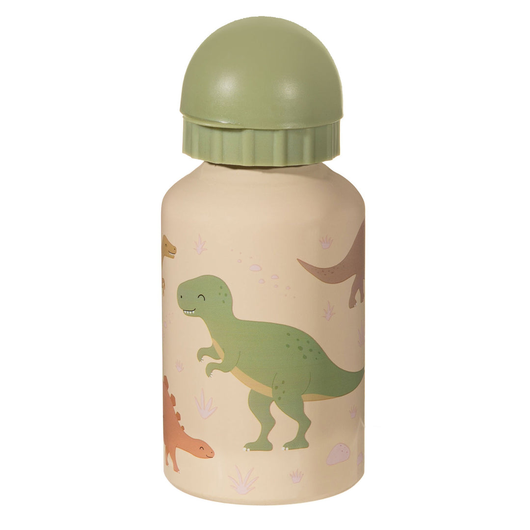 Desert Dino Metal Water Bottle