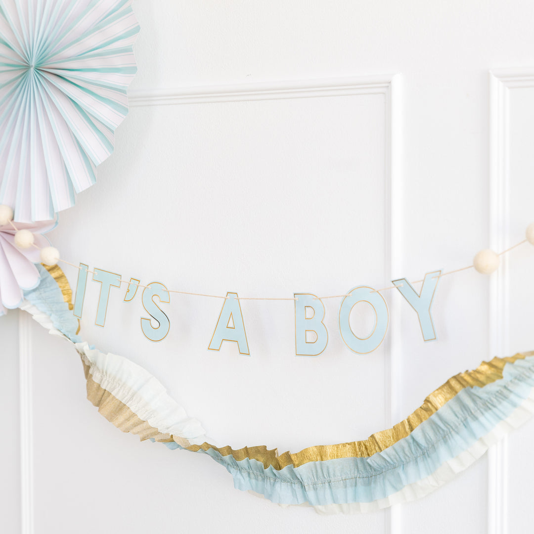 Baby Blue Banner Set