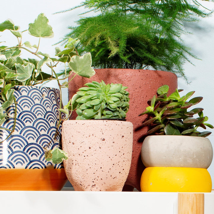 Speckled Leggy Medium Planter