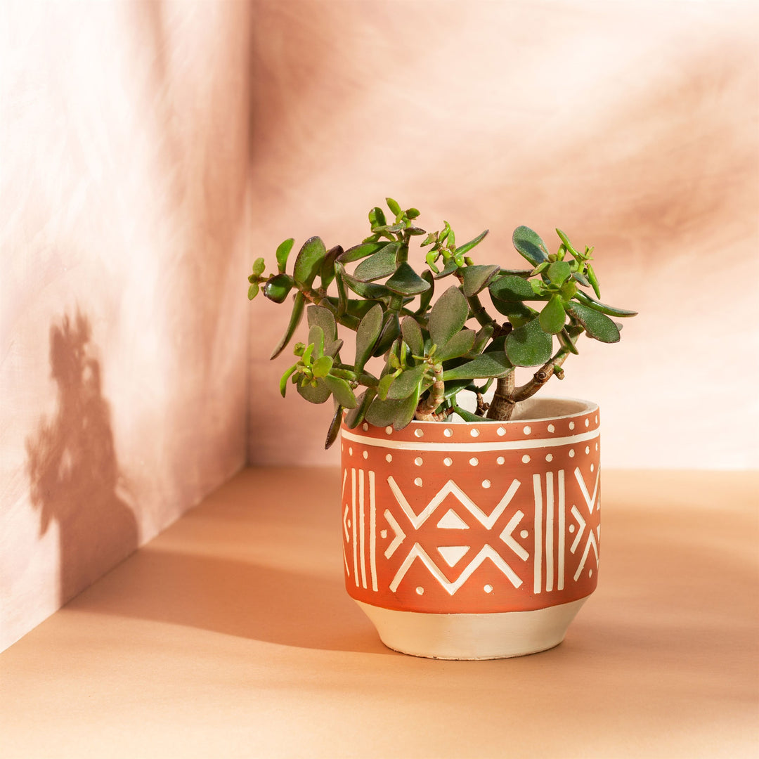 Lea Planter Terracotta