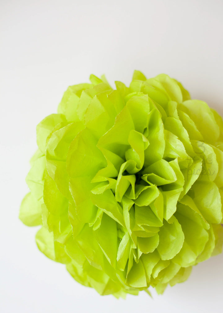 Party Pom Pom (25cm), Partyware, 3littlepicks - 3LittlePicks