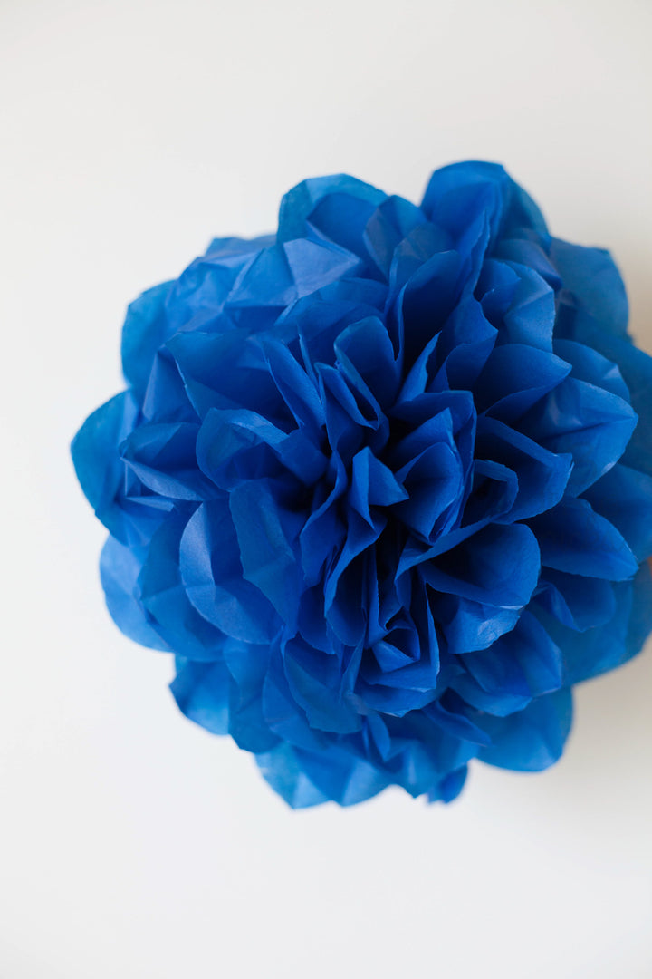 Party Pom Pom (25cm), Partyware, 3littlepicks - 3LittlePicks