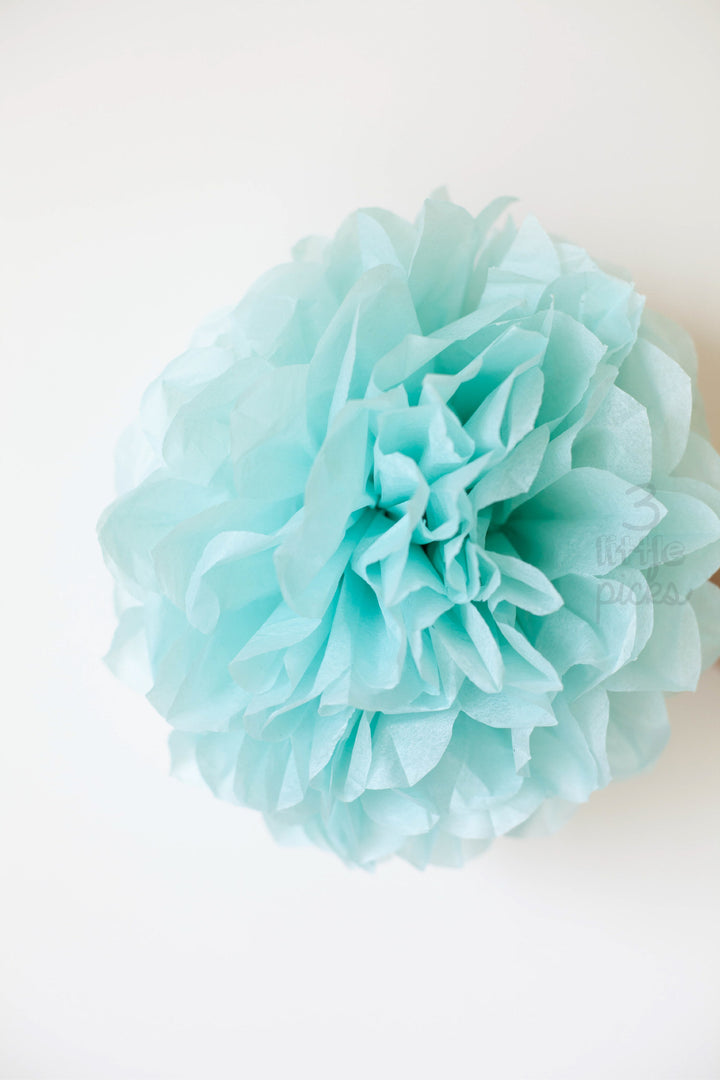 Party Pom Pom (25cm), Partyware, 3littlepicks - 3LittlePicks