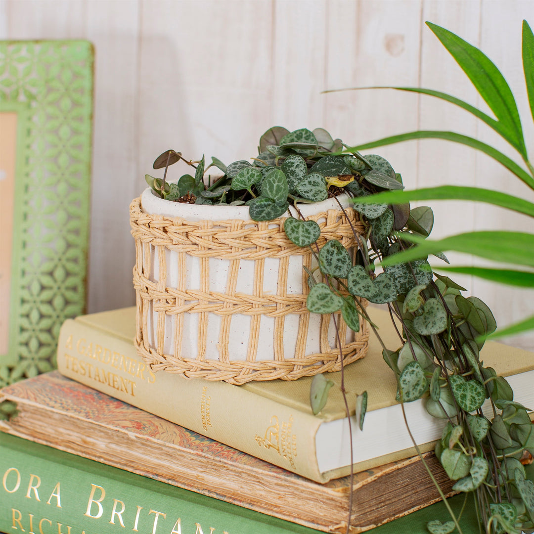 Speckled White & Woven Planter