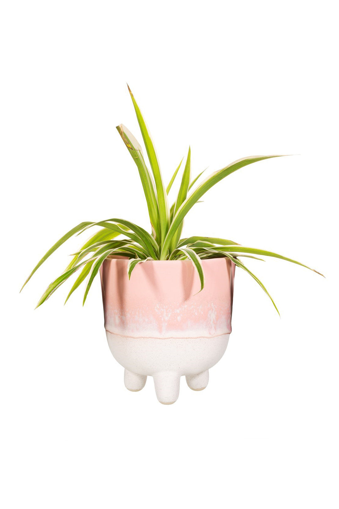 Mojave Glaze Pink Large Planter