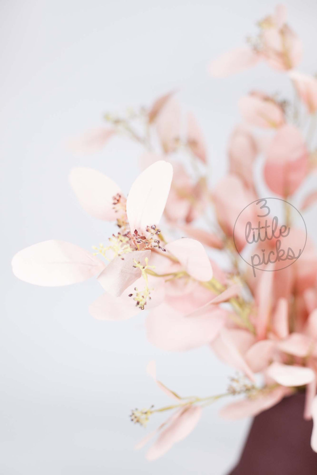 Blush Pink Eucalyptus Foliage Stems, Decor, 3littlepicks - 3LittlePicks