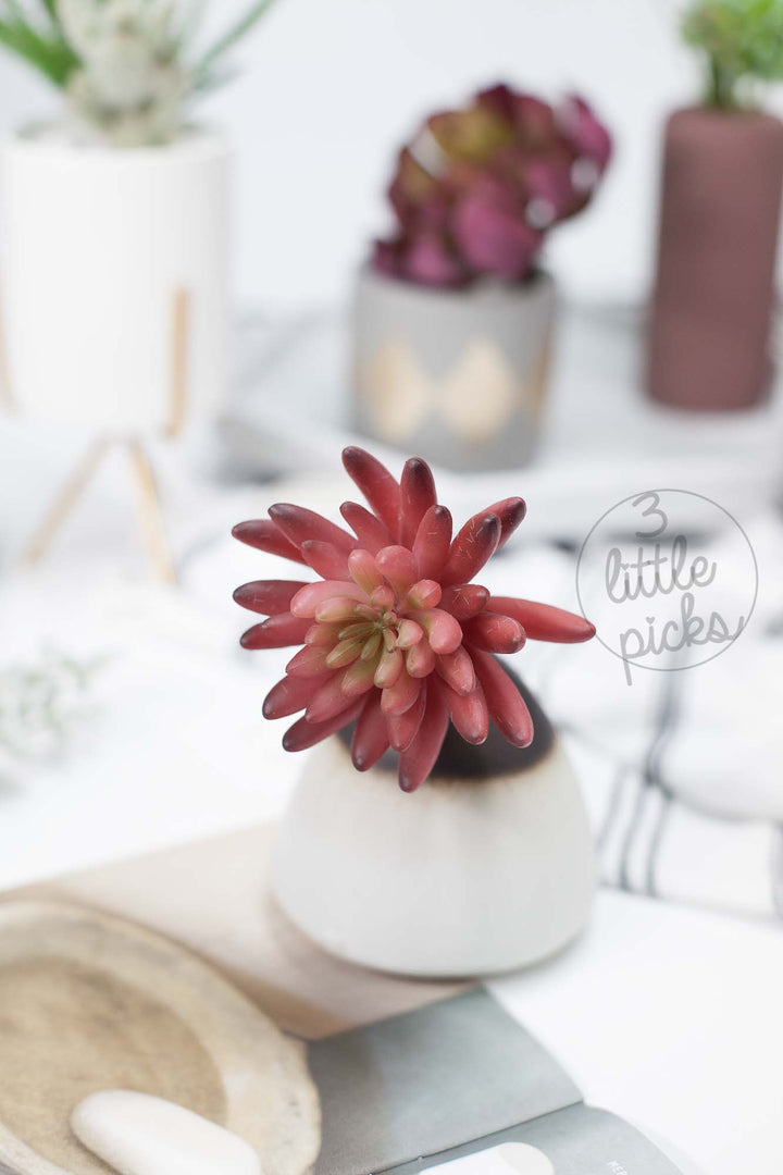 Faux Succulent (Part 3), Decor, 3littlepicks - 3LittlePicks