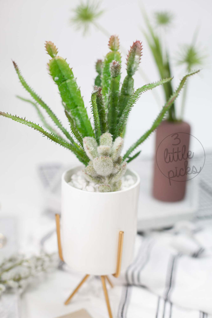 Faux Succulent (Part 3), Decor, 3littlepicks - 3LittlePicks