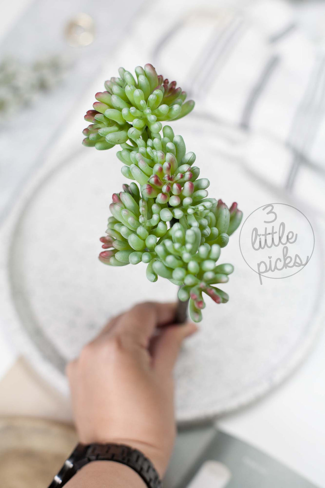 Faux Succulent (Part 3), Decor, 3littlepicks - 3LittlePicks