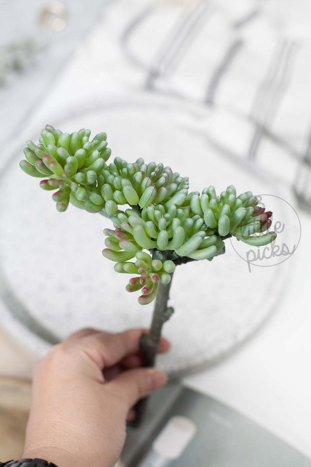 Faux Succulent (Part 3), Decor, 3littlepicks - 3LittlePicks