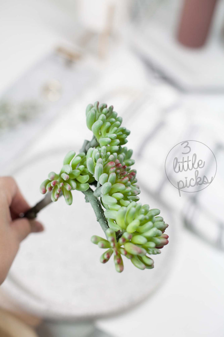 Faux Succulent (Part 3), Decor, 3littlepicks - 3LittlePicks