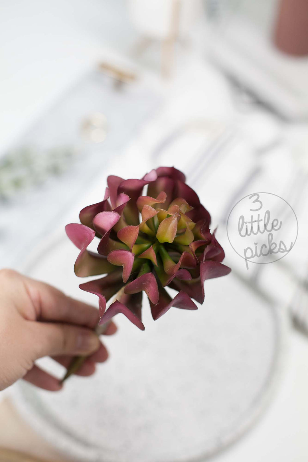 Faux Succulent (Part 3), Decor, 3littlepicks - 3LittlePicks