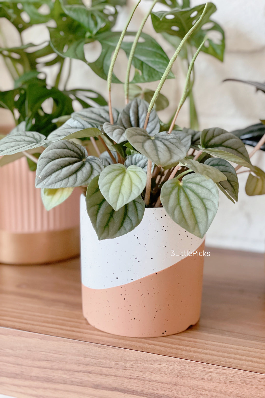 Dual Tone Speckled Flowerpot