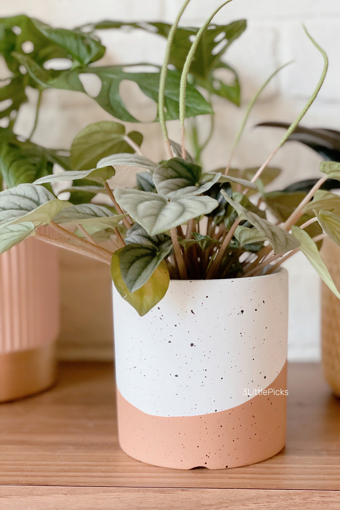 Dual Tone Speckled Flowerpot