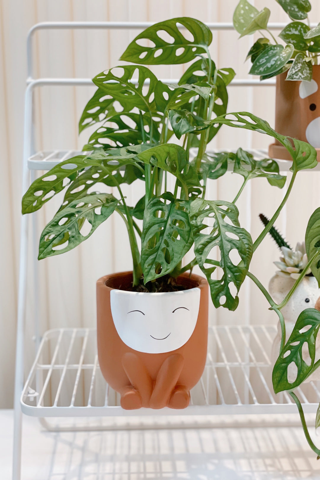 Smiley Kid Planter