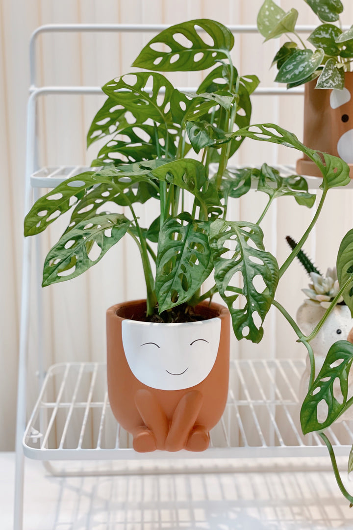 Smiley Kid Planter