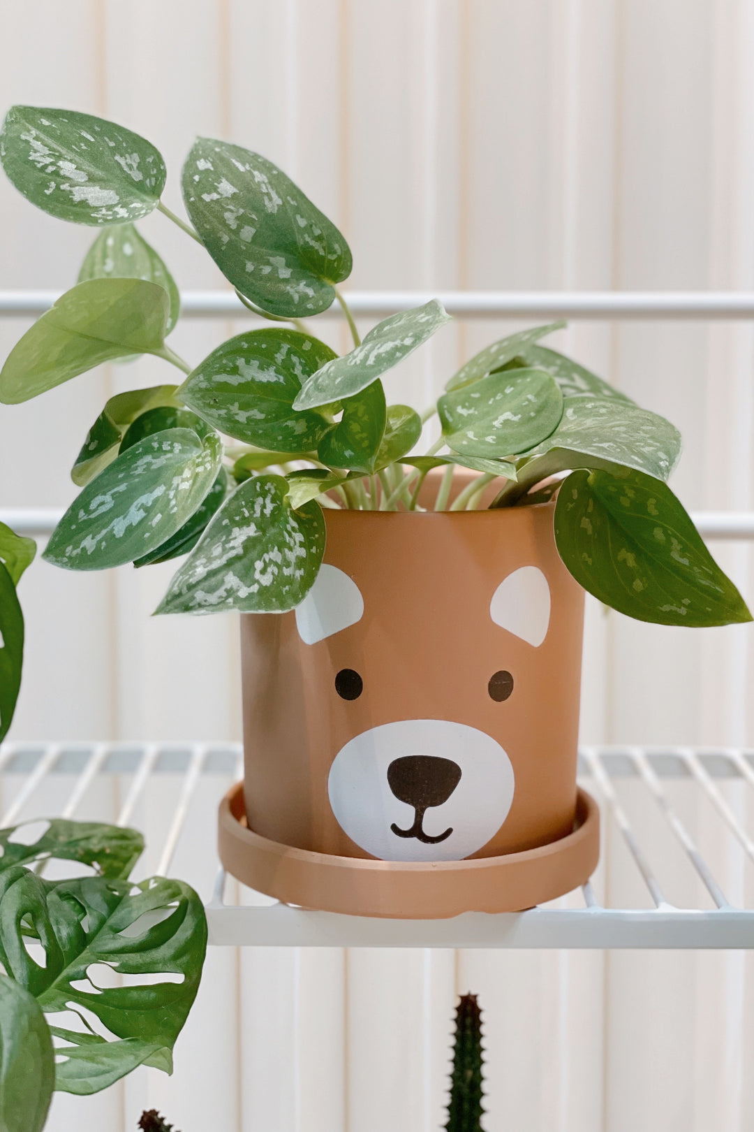 Brown Bear Planter with Saucer