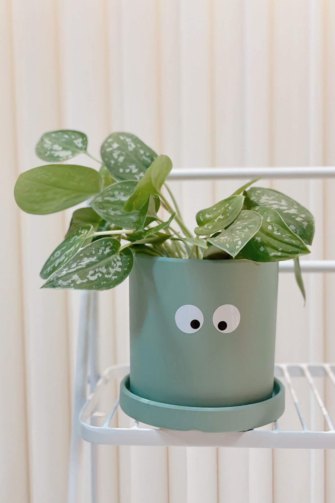Funny Eyes Small Planter with Saucer Dusty Dark Mint