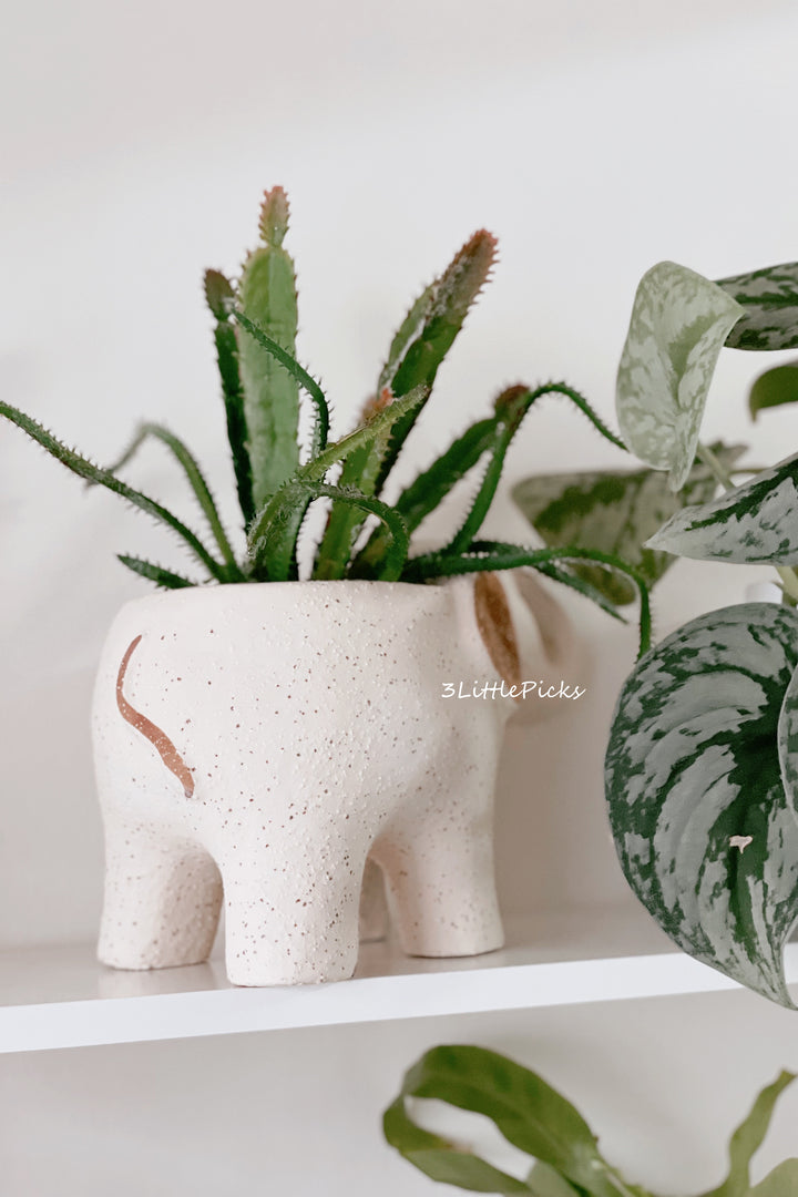 Elephant Planter