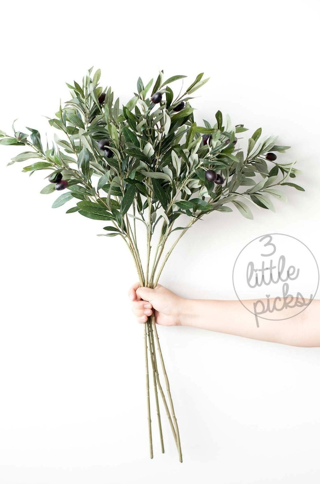 Olive Branches, Decor, 3littlepicks - 3LittlePicks