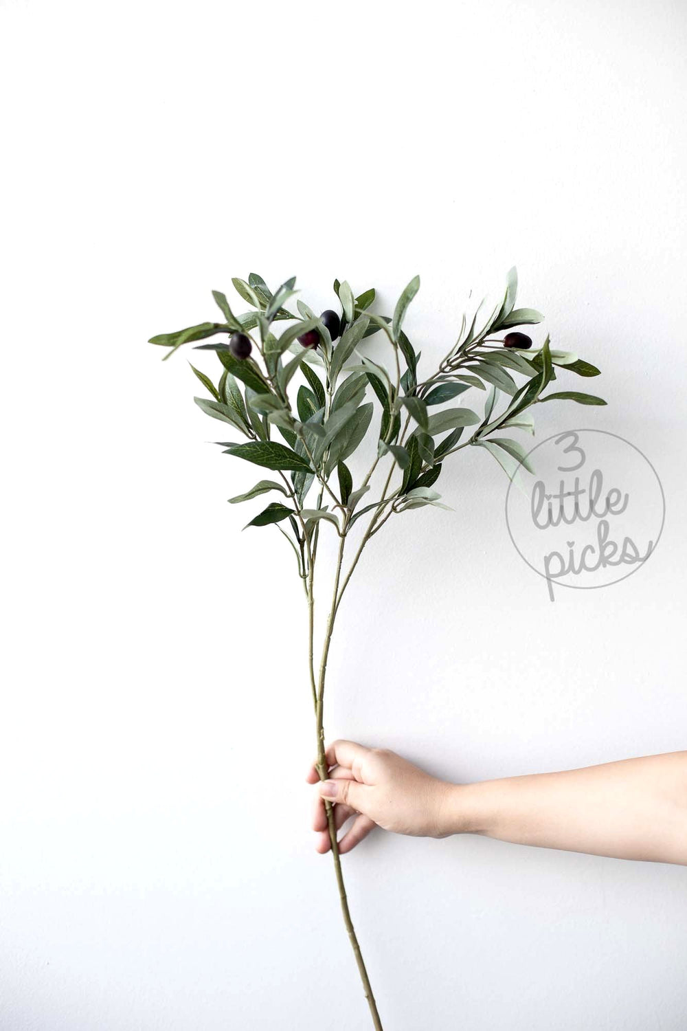 Olive Branches, Decor, 3littlepicks - 3LittlePicks