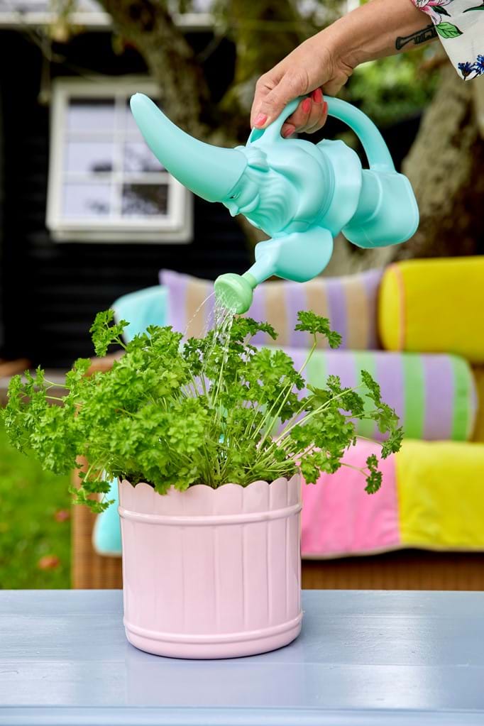 Gnome Shaped Watering Can in Blue