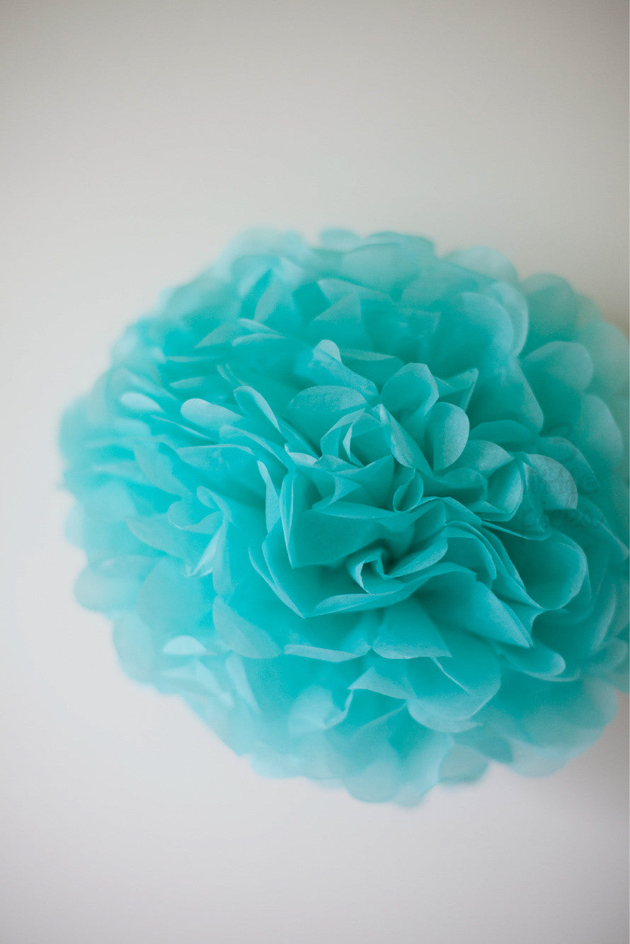 Party Pom Pom (25cm), Partyware, 3littlepicks - 3LittlePicks
