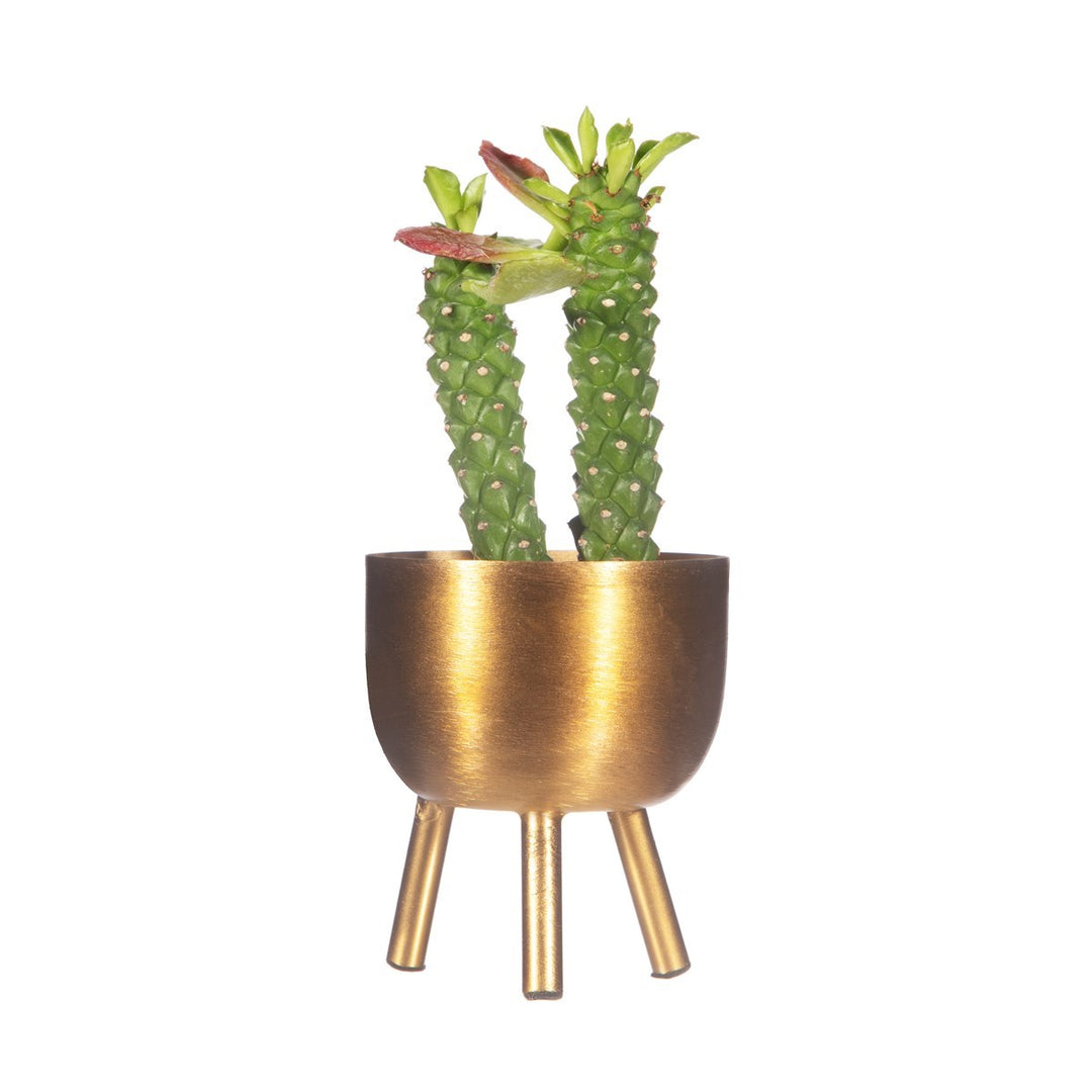 Matte Gold Metal Planter on Legs Small