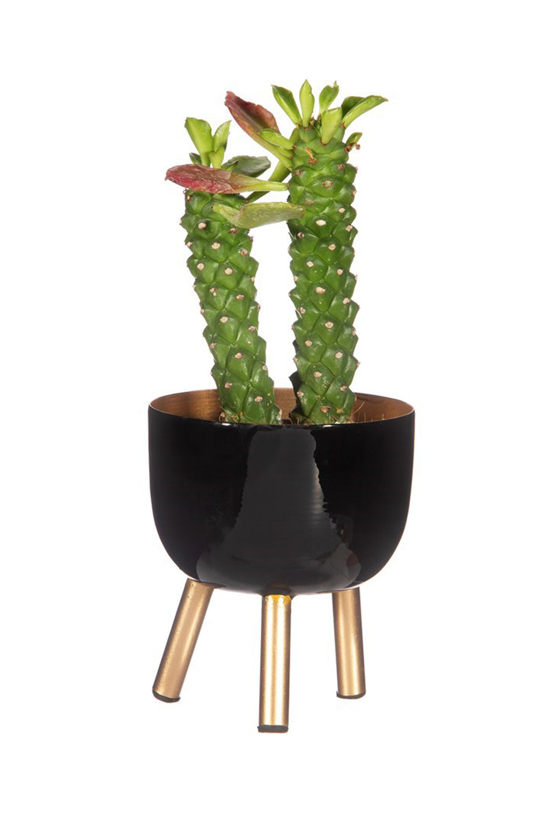 Black Metal Planter on Legs Small