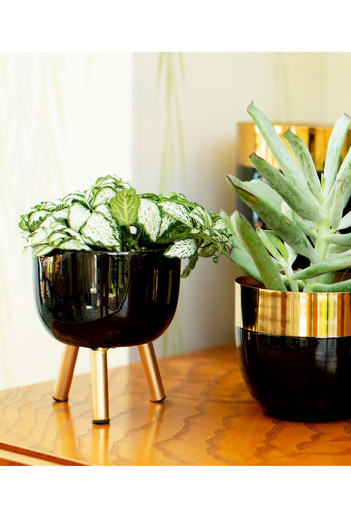 Black Metal Planter on Legs Small