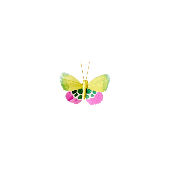 Decor Butterfly with Clips