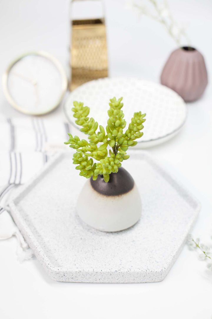 Faux Succulent (Part 3), Decor, 3littlepicks - 3LittlePicks