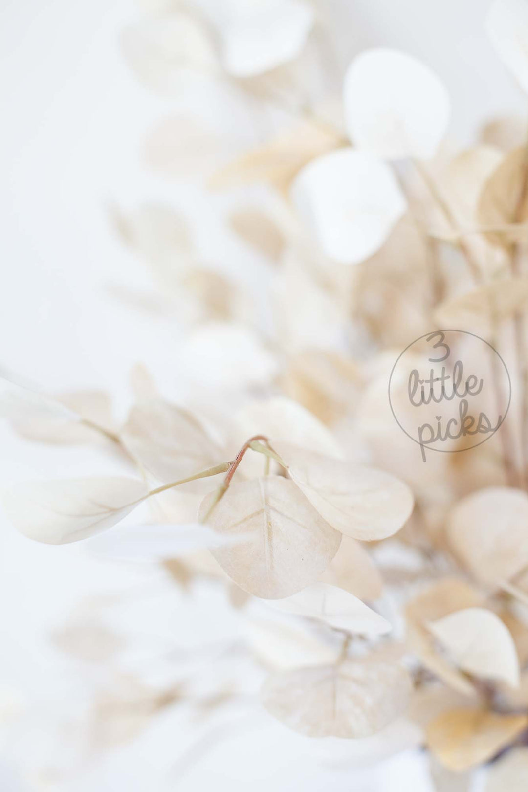 COMING BACK: Bleached Effect Eucalyptus Foliage Stems, Decor, 3littlepicks - 3LittlePicks