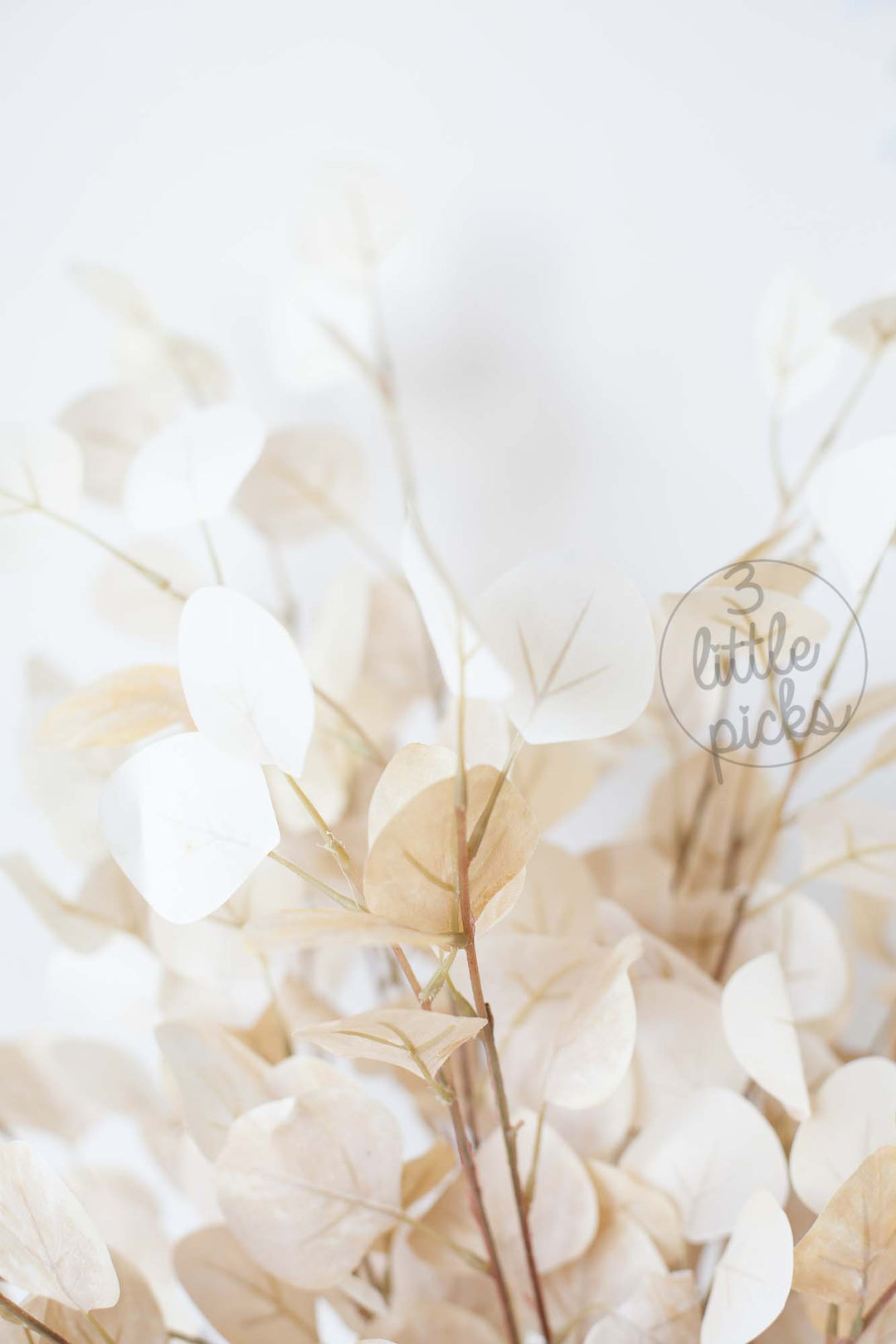 COMING BACK: Bleached Effect Eucalyptus Foliage Stems, Decor, 3littlepicks - 3LittlePicks